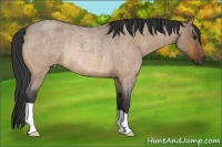 Horse Color:Bay Roan Dun Rabicano