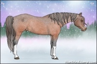 Horse Color:Brown Varnish Rabicano