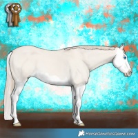 Horse Color:Smoky Creme Dun Splash