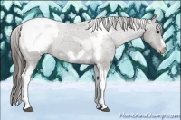 Horse Color:Grullo Tobiano Frame Appaloosa Rabicano 