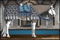 Horse Color:Grullo Splash 