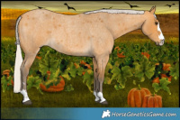 Horse Color:Silver Buckskin Roan 