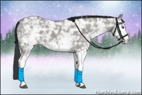 Horse Color:White Spotted Grullo Ice 