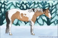 Horse Color:Bay Dun Splash Tobiano 