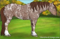Horse Color:Chestnut Ice 