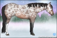 Horse Color:Bay Ice Roan 