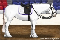 Horse Color:White Spotted Buckskin Appaloosa 