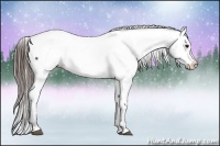 Horse Color:Brown Snowcap