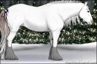 Horse Color:Brown Ice Frame Appaloosa Rabicano