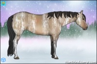 Horse Color:Bay Ice Dun