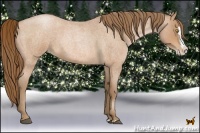 Horse Color:Bay Roan Pearl Splash 