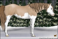 Horse Color:Black Pearl Splash 