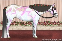 Horse Color:Buckskin Roan Dun Splash