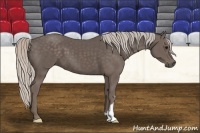 Horse Color:Silver Black 