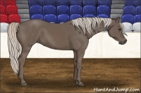 Horse Color:Silver Black 