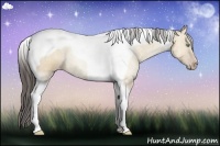 Horse Color:Amber Champagne Dun Tobiano 