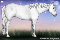 Horse Color:White Spotted Silver Bay Dun Splash Tobiano Frame Rabicano