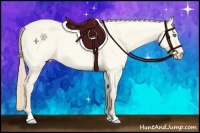 Horse Color:Perlino Roan Dun 
