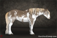 Horse Color:White Spotted Liver Chestnut Splash 