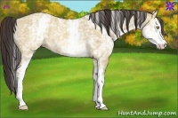 Horse Color:White Spotted Sable Champagne Dun Rabicano