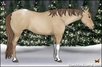 Horse Color:Grullo Pearl Tobiano
