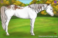 Horse Color:White Spotted Silver Bay Splash