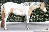 Horse Color:Red Dun Pearl Tobiano Frame Rabicano