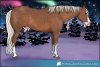 Horse Color:White Spotted Silver Black Splash