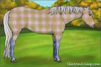 Horse Color:Watercolor Plaid Silver Bay