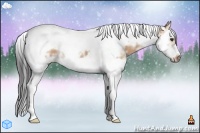 Horse Color:Bay Ice Dun Splash Tobiano Frame 