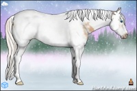 Horse Color:Silver Bay Ice Dun Splash Tobiano Frame 