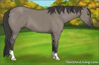 Horse Color:Smoky Grullo