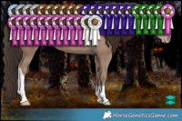 Horse Color:Classic Champagne Tobiano Rabicano