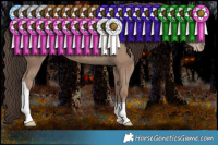 Horse Color:Classic Champagne Tobiano Rabicano 