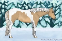 Horse Color:Silver Buckskin Tobiano Rabicano