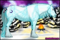 Horse Color:Thunderstruck Liver Red Dun Splash Appaloosa  Brindle