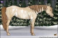 Horse Color:Red Dun Pearl Splash  Brindle