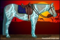 Horse Color:Thunderstruck Grullo Ice Splash Brindle