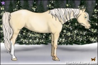 Horse Color:Silver Classic Champagne Pearl Dun