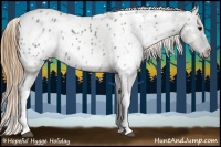 Horse Color:Smoky Grullo Ice Appaloosa 