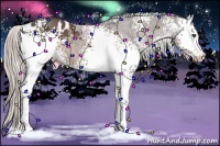Horse Color:White Spotted Silver Black Appaloosa 