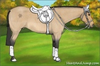 Horse Color:Buckskin Roan 