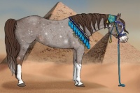 Horse Color:Liver Red Roan Sabino Splash Frame 