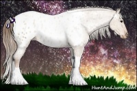 Horse Color:Brown Pearl Appaloosa Rabicano