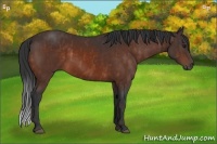 Horse Color:Bay  Brindle
