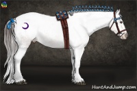 Horse Color:Brown Appaloosa Rabicano 