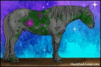 Horse Color:ERROR: UNKNOWN ANOMALY Brindle