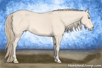 Horse Color:Perlino Rabicano 