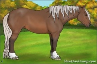 Horse Color:Silver Brown 