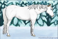 Horse Color:Silver Buckskin Splash Tobiano 